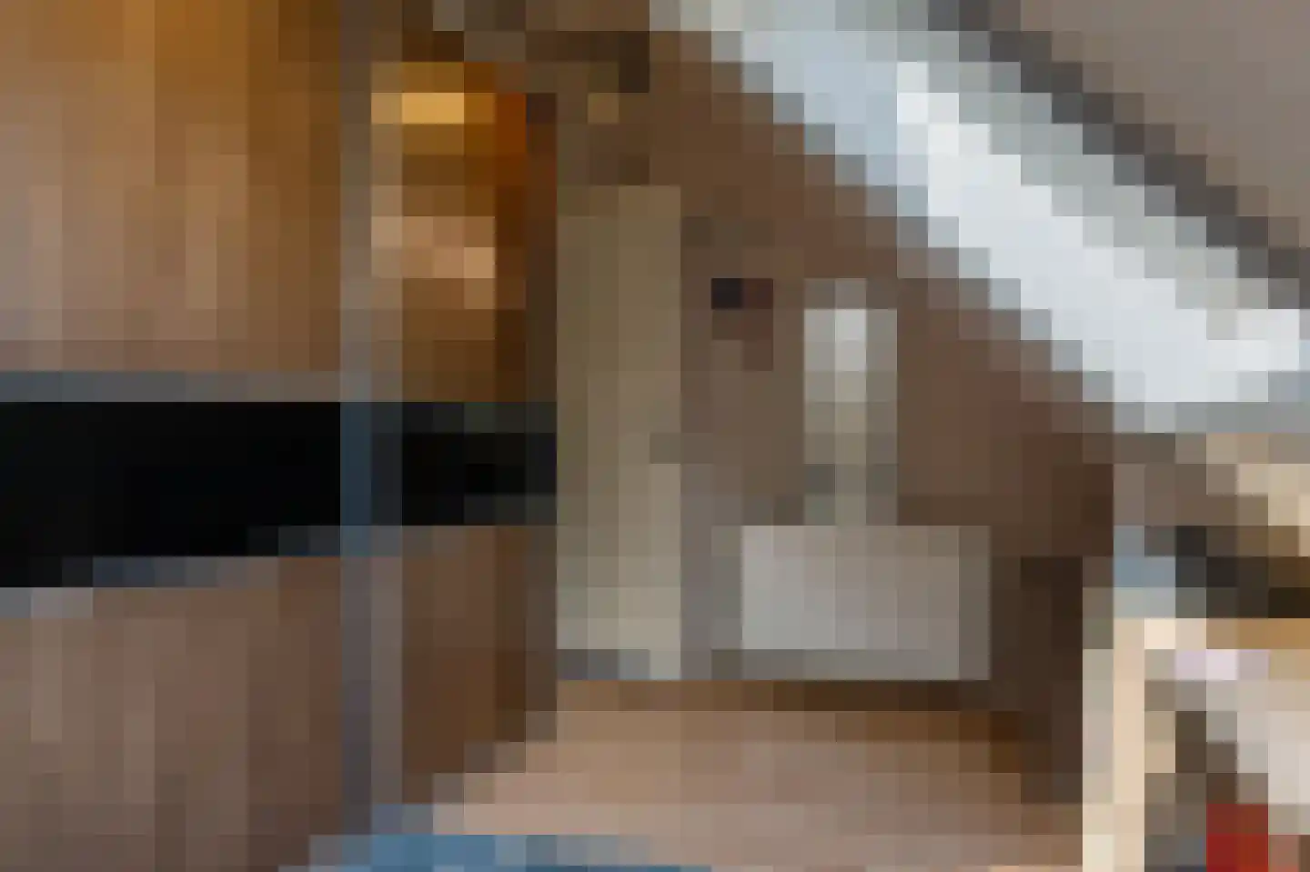 De wiende 19 Steenwijk thumbnail 30