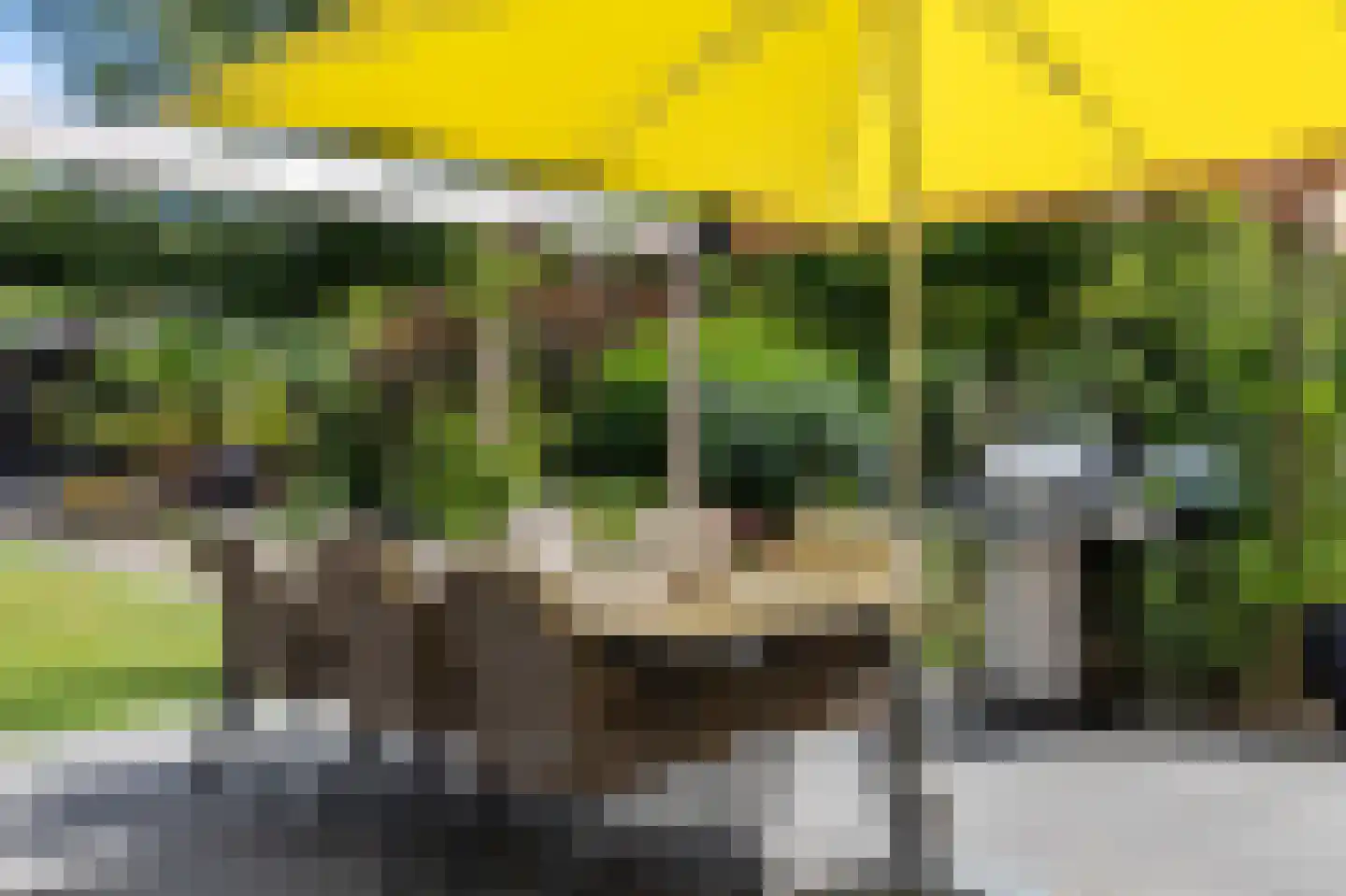 De wiende 19 Steenwijk thumbnail 44