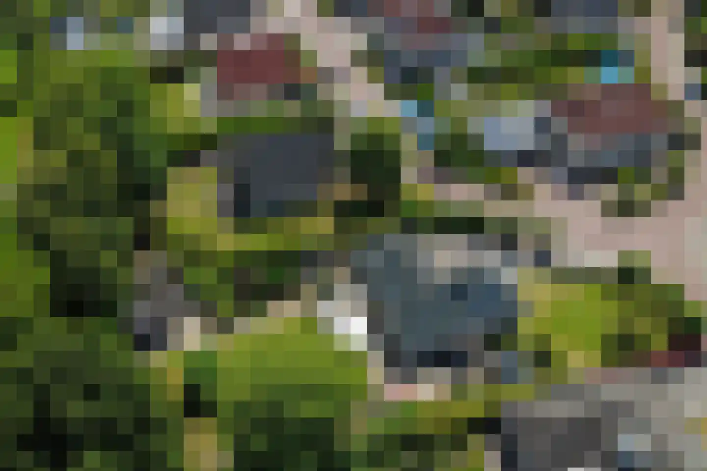 De wiende 19 Steenwijk thumbnail 50