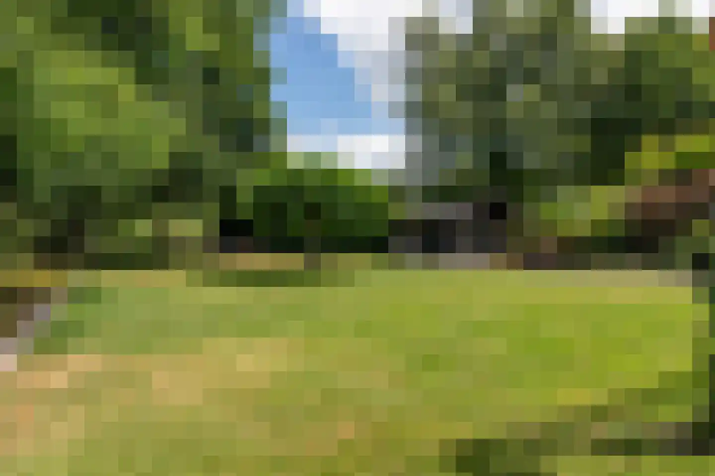 De wiende 19 Steenwijk thumbnail 51