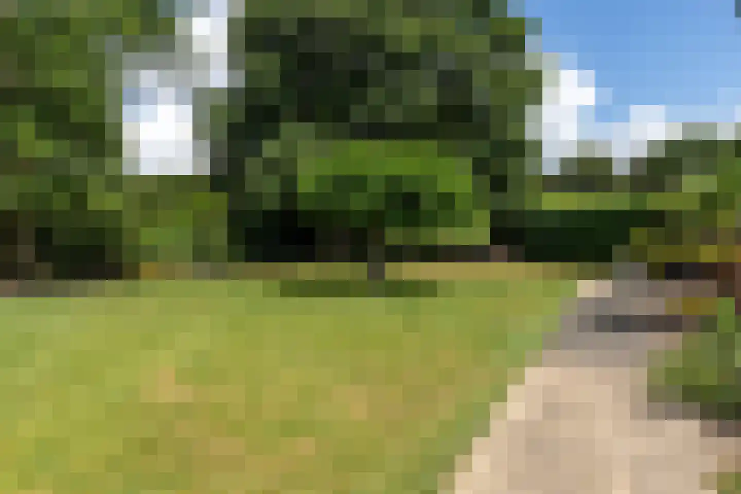 De wiende 19 Steenwijk thumbnail 52