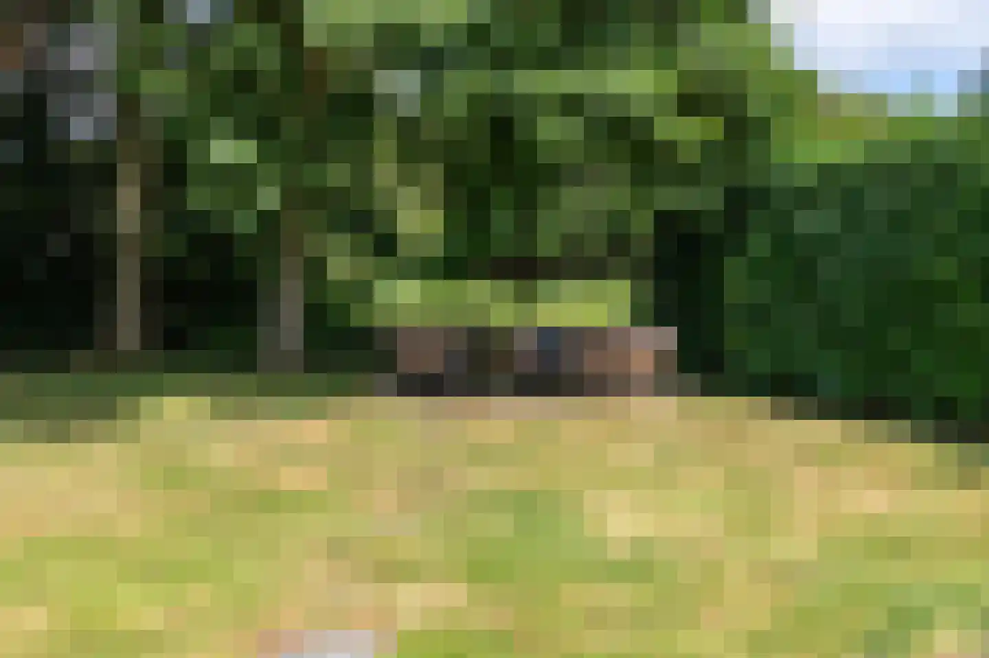 De wiende 19 Steenwijk thumbnail 55