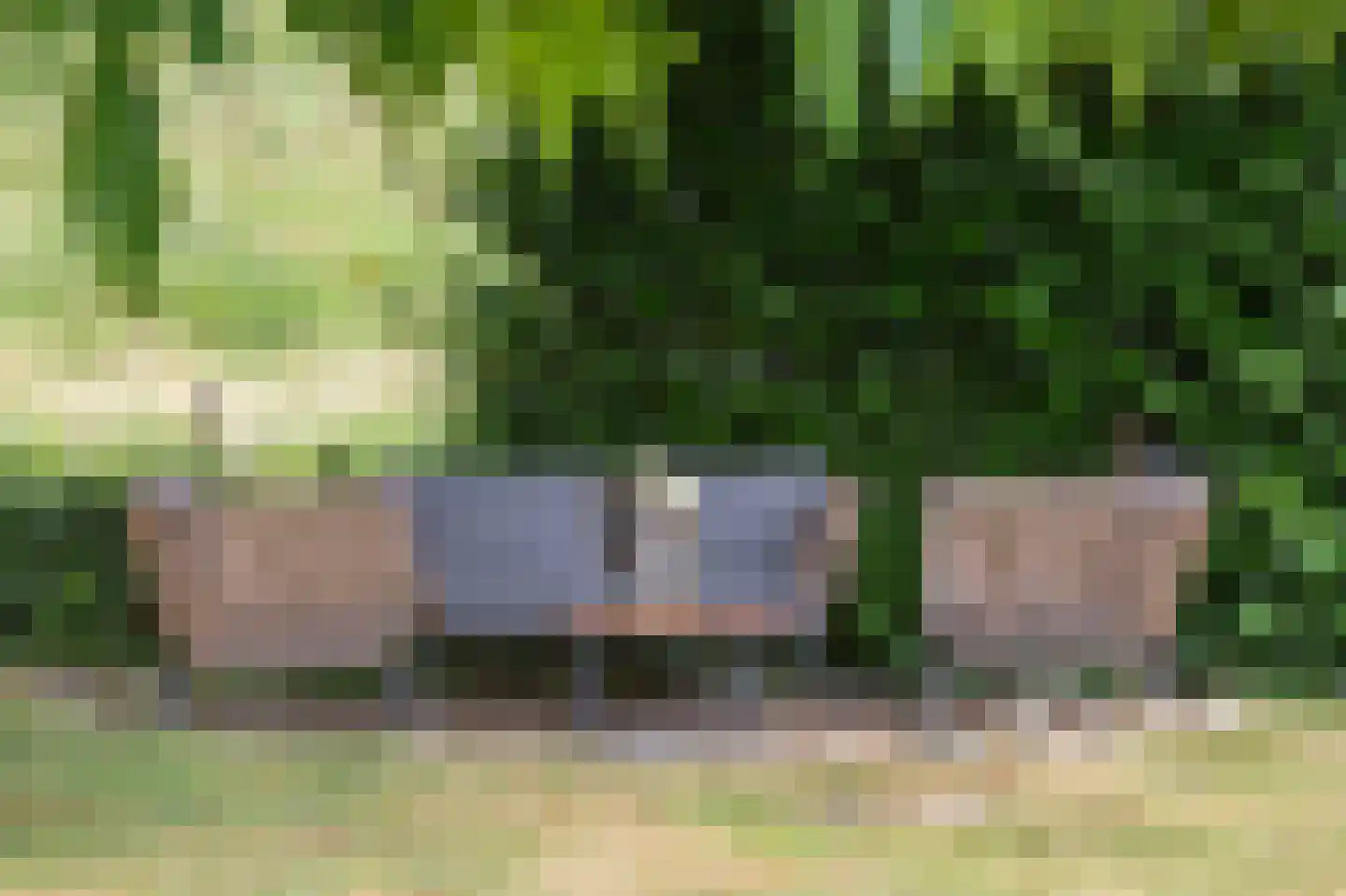 De wiende 19 Steenwijk thumbnail 56