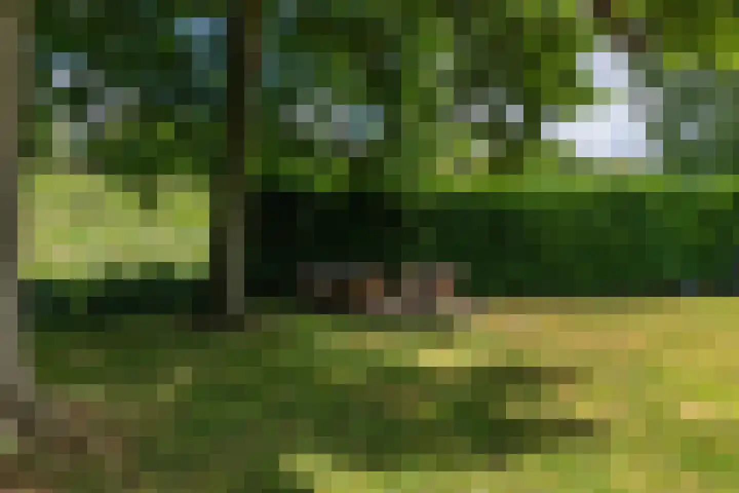 De wiende 19 Steenwijk thumbnail 57