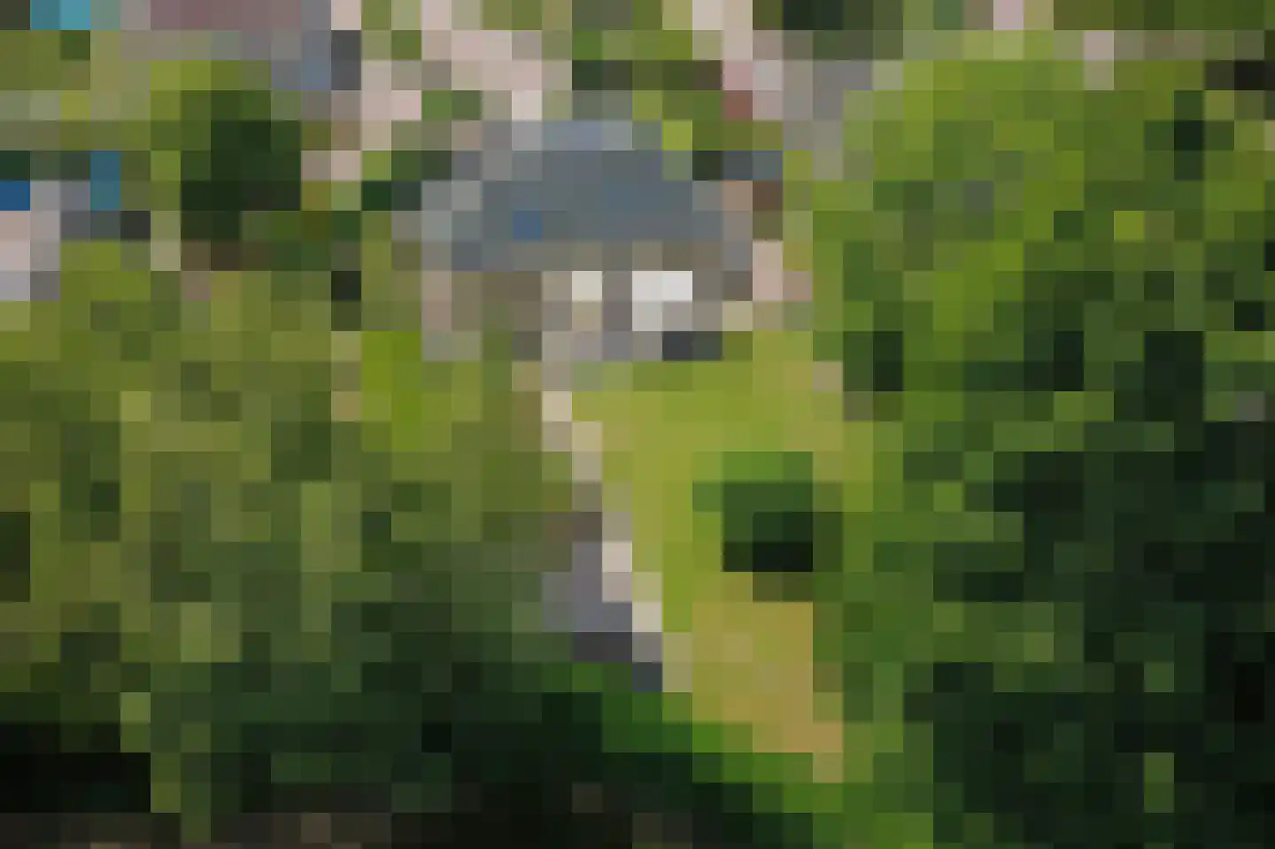 De wiende 19 Steenwijk thumbnail 58