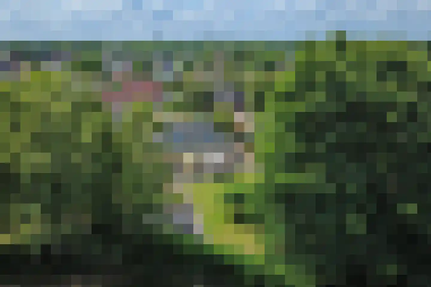 De wiende 19 Steenwijk thumbnail 59