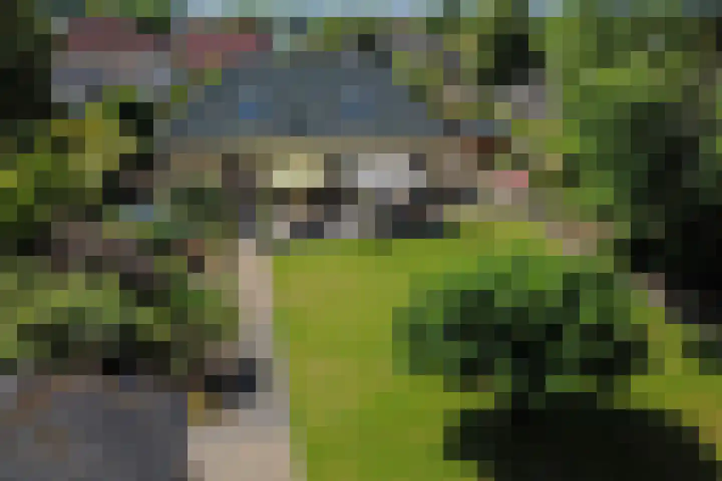 De wiende 19 Steenwijk thumbnail 60
