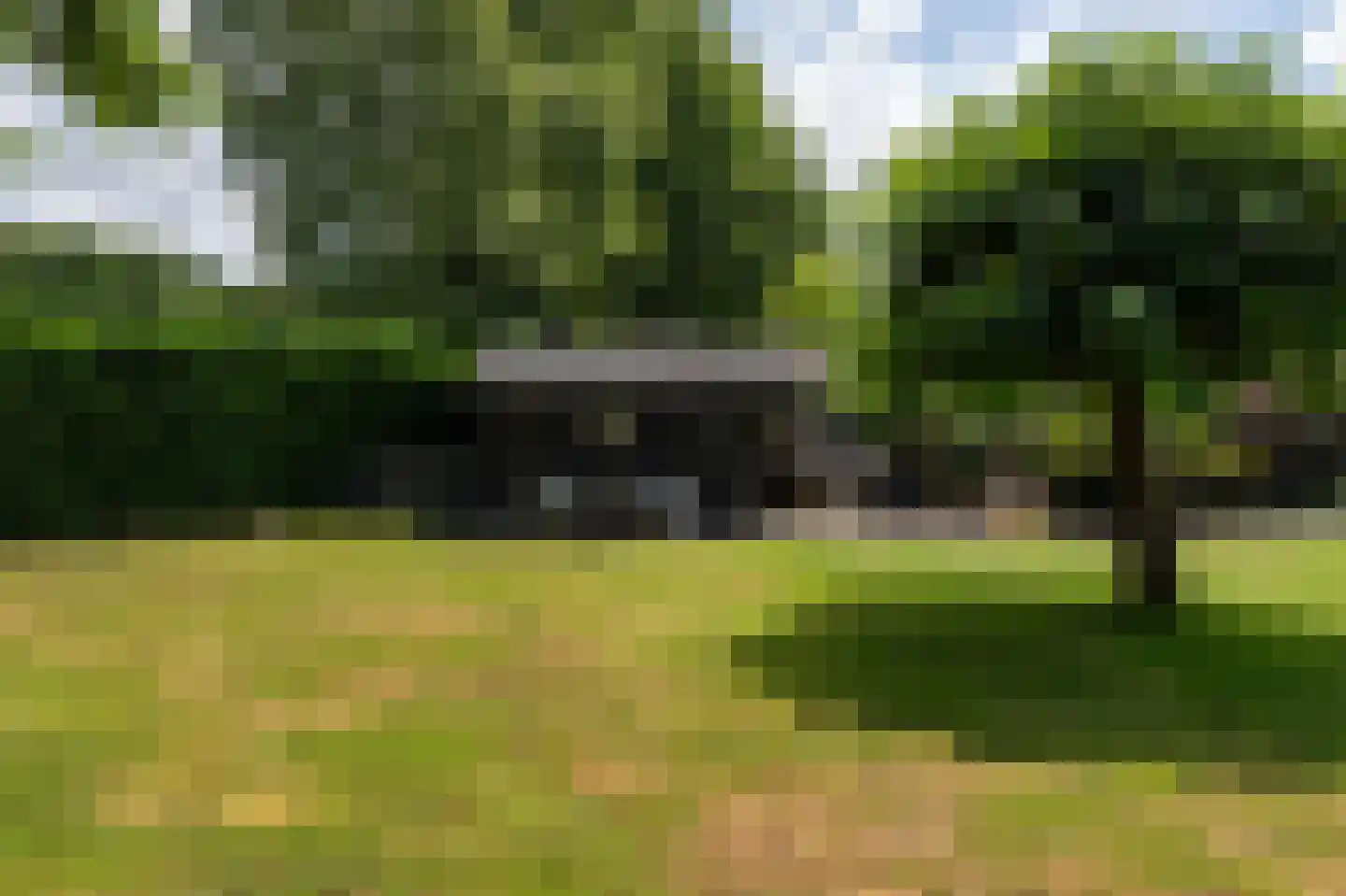De wiende 19 Steenwijk thumbnail 61