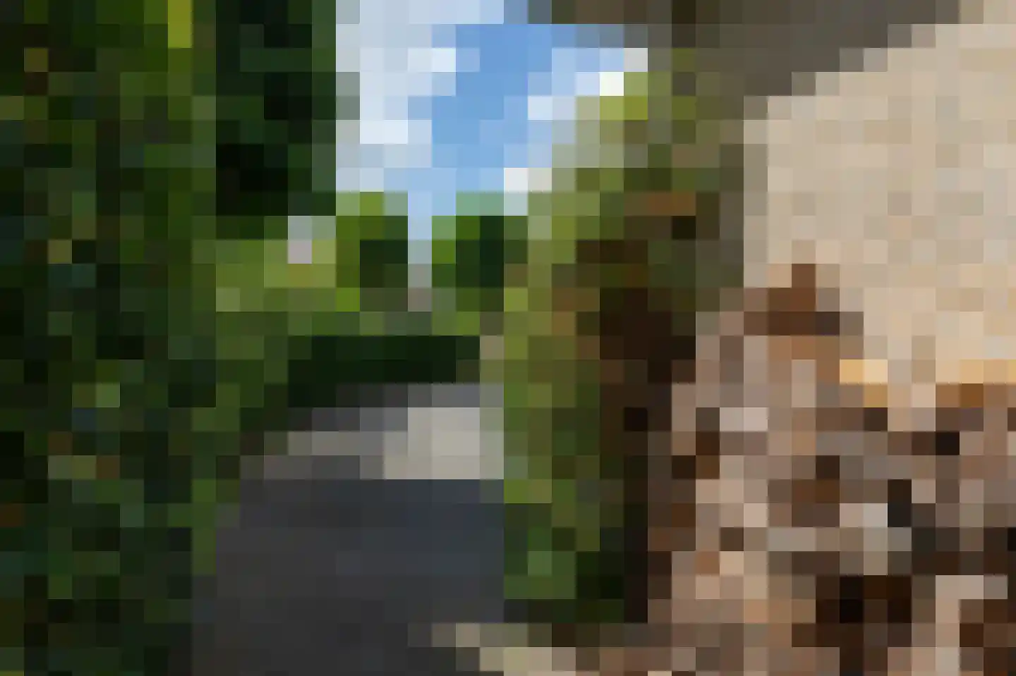 De wiende 19 Steenwijk thumbnail 67