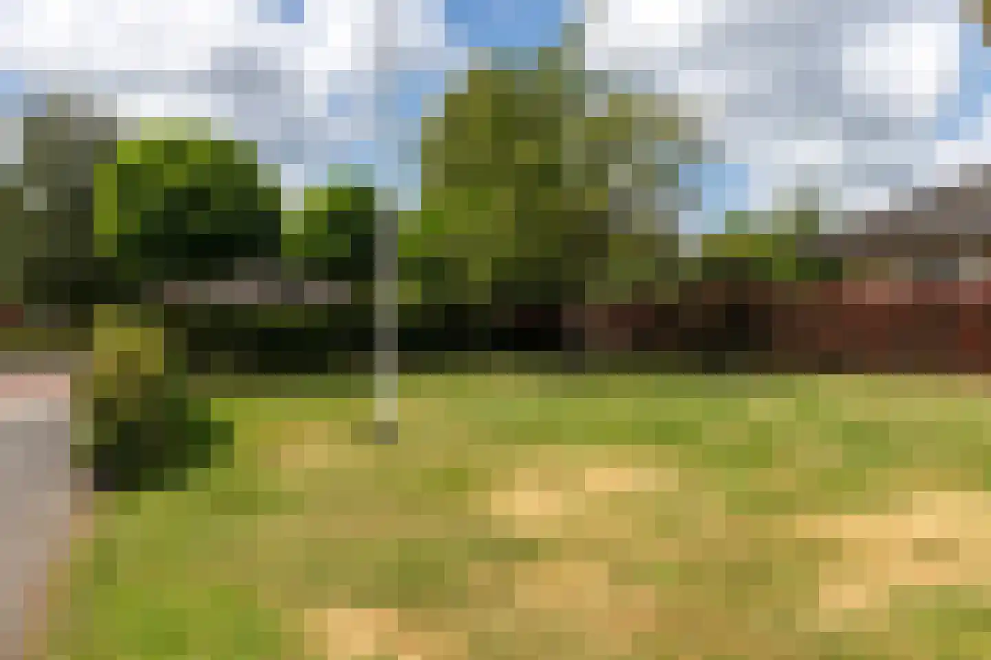 De wiende 19 Steenwijk thumbnail 70