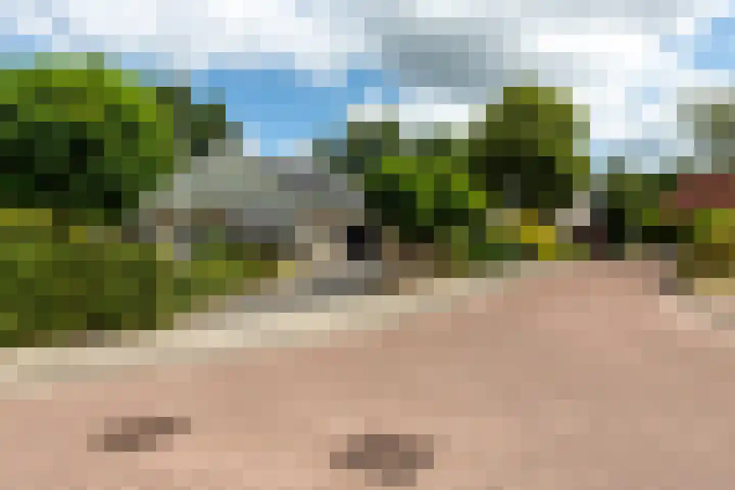 De wiende 19 Steenwijk thumbnail 73