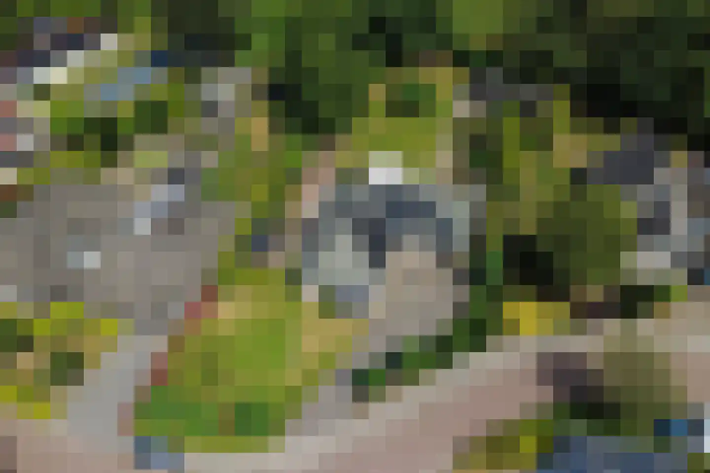 De wiende 19 Steenwijk thumbnail 75