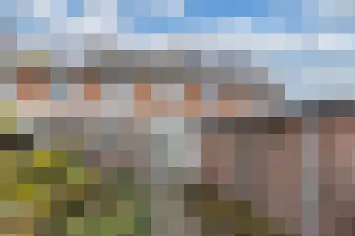 De Wier 3 Drachten thumbnail 14