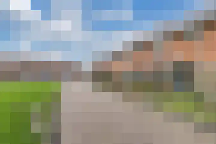 De Wier 3 Drachten thumbnail 25