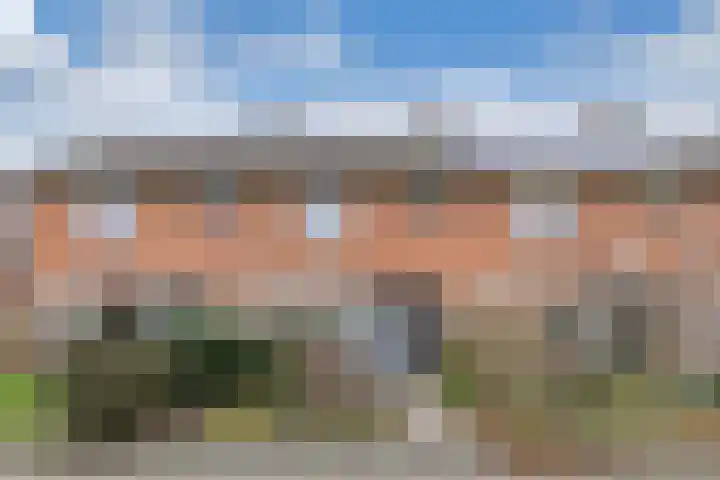 De Wier 3 Drachten thumbnail 27