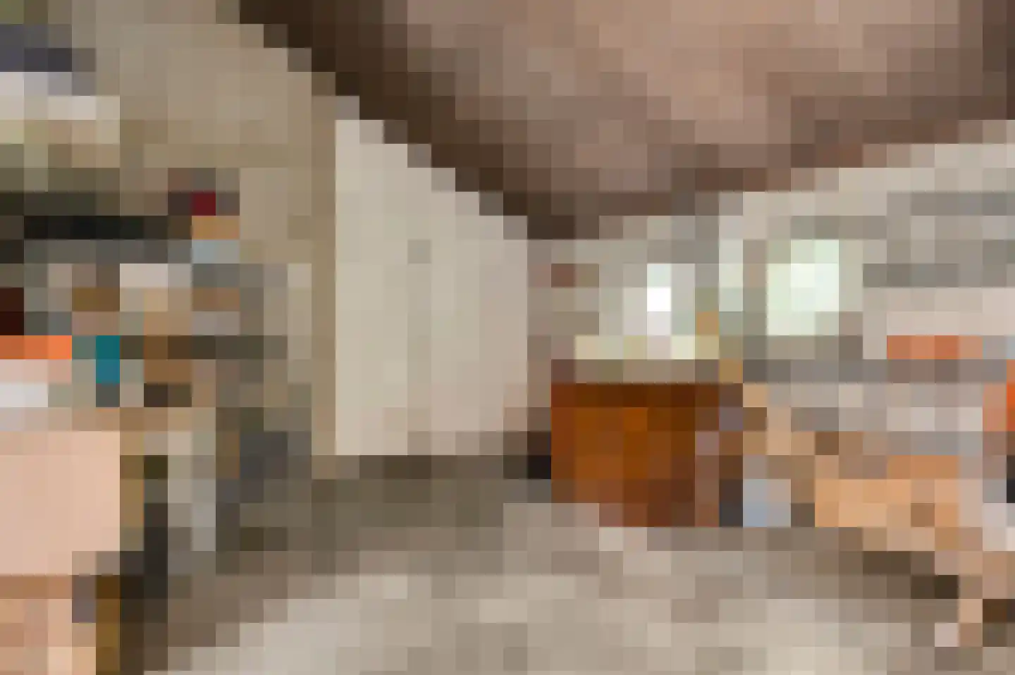 De Wiers 13 Sevenum thumbnail 32