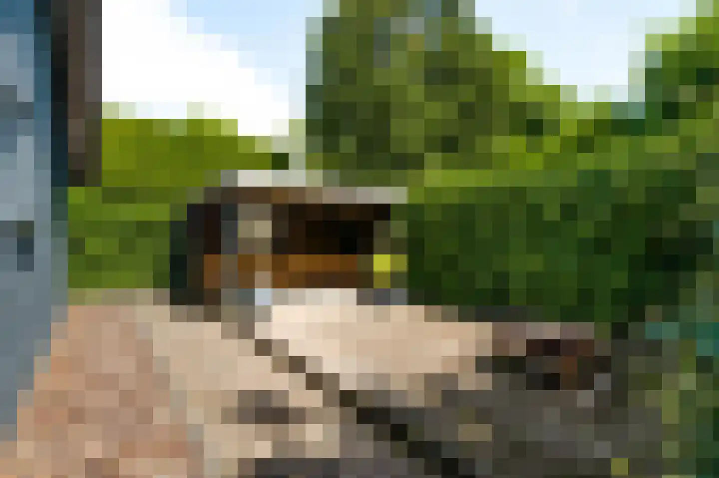 De Wiers 13 Sevenum thumbnail 56