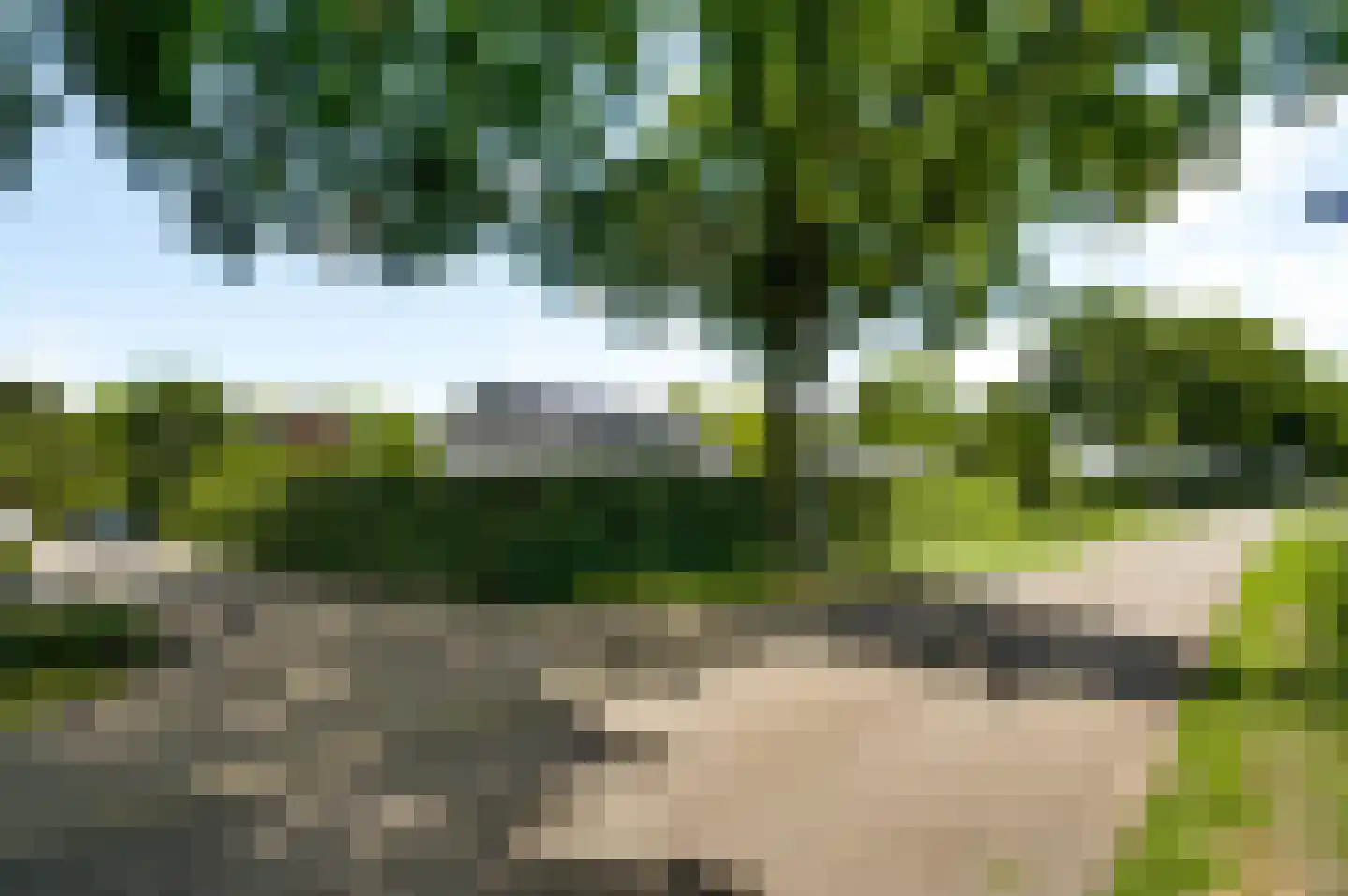De Wiers 13 Sevenum thumbnail 61