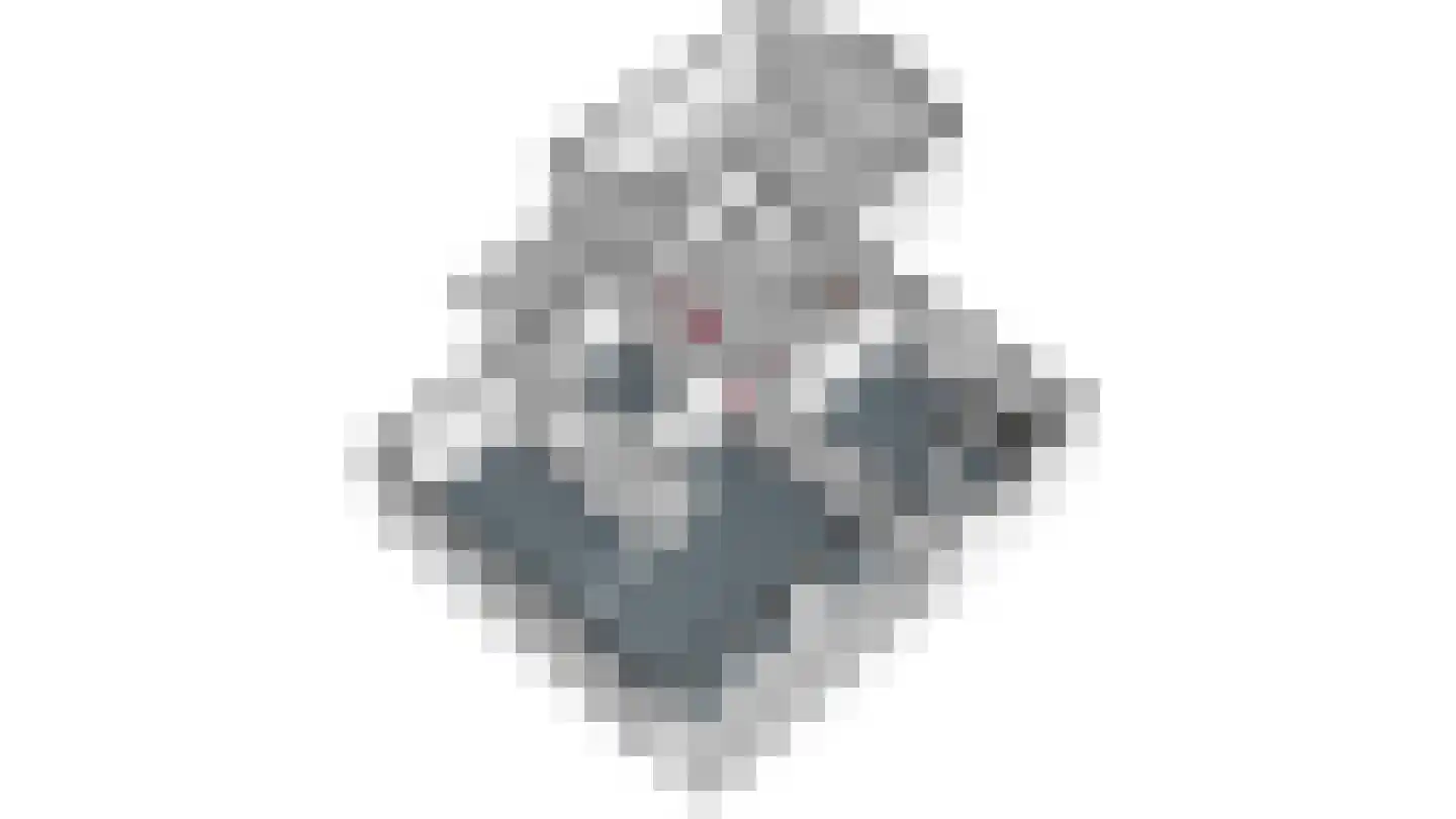 De Wiers 13 Sevenum thumbnail 71