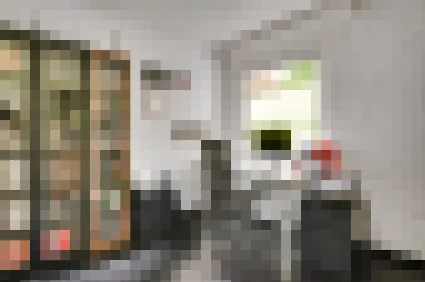 De Wiers 13 Sevenum thumbnail 8