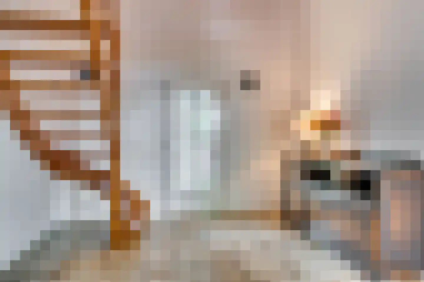 De Wiers 8 Sevenum thumbnail 12