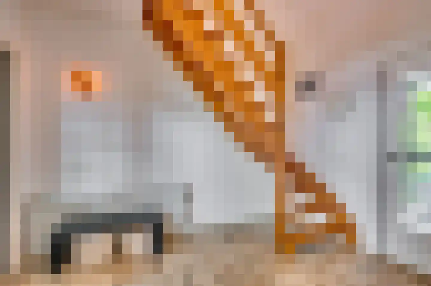 De Wiers 8 Sevenum thumbnail 13
