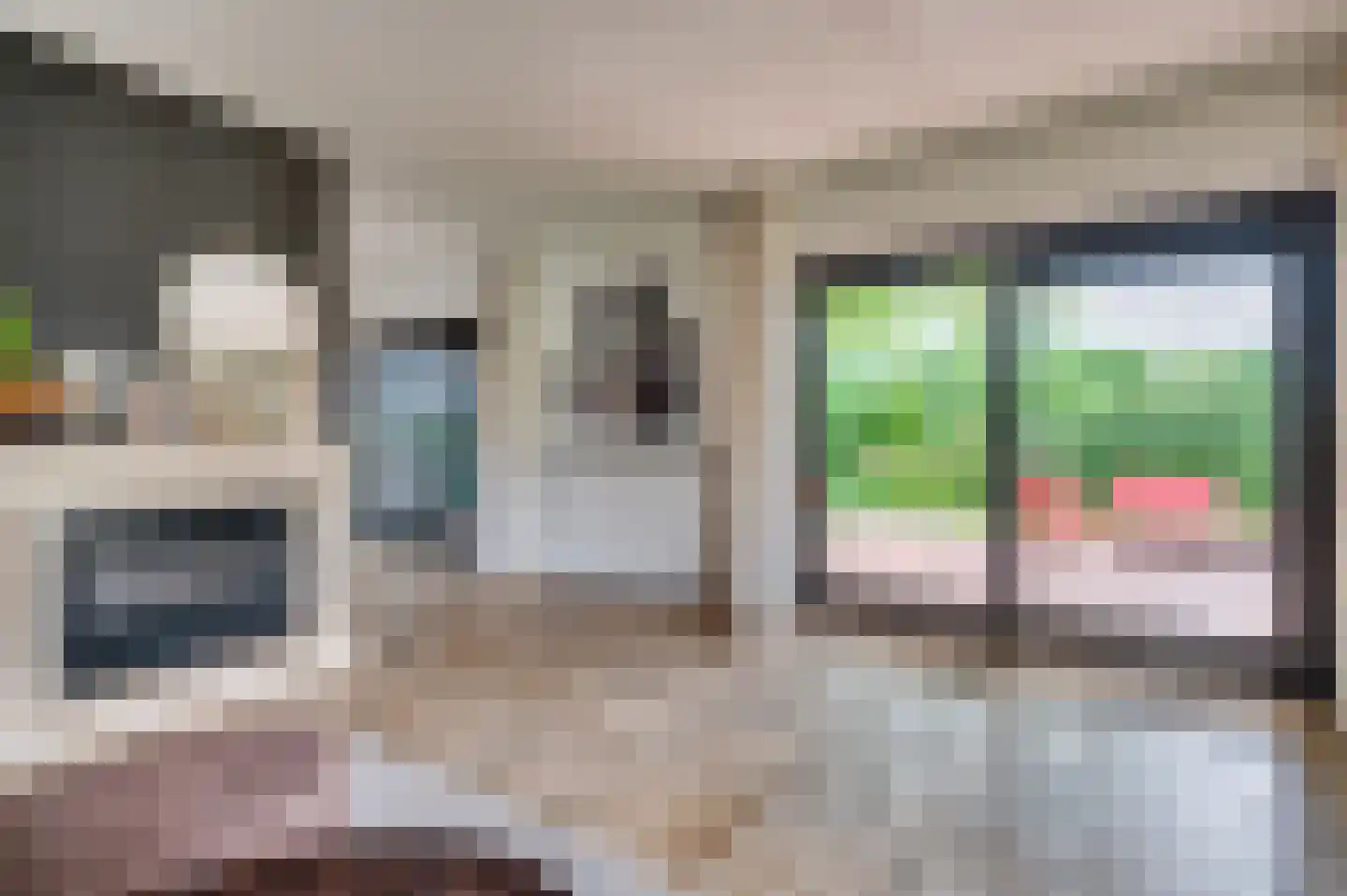 De Wiers 8 Sevenum thumbnail 30