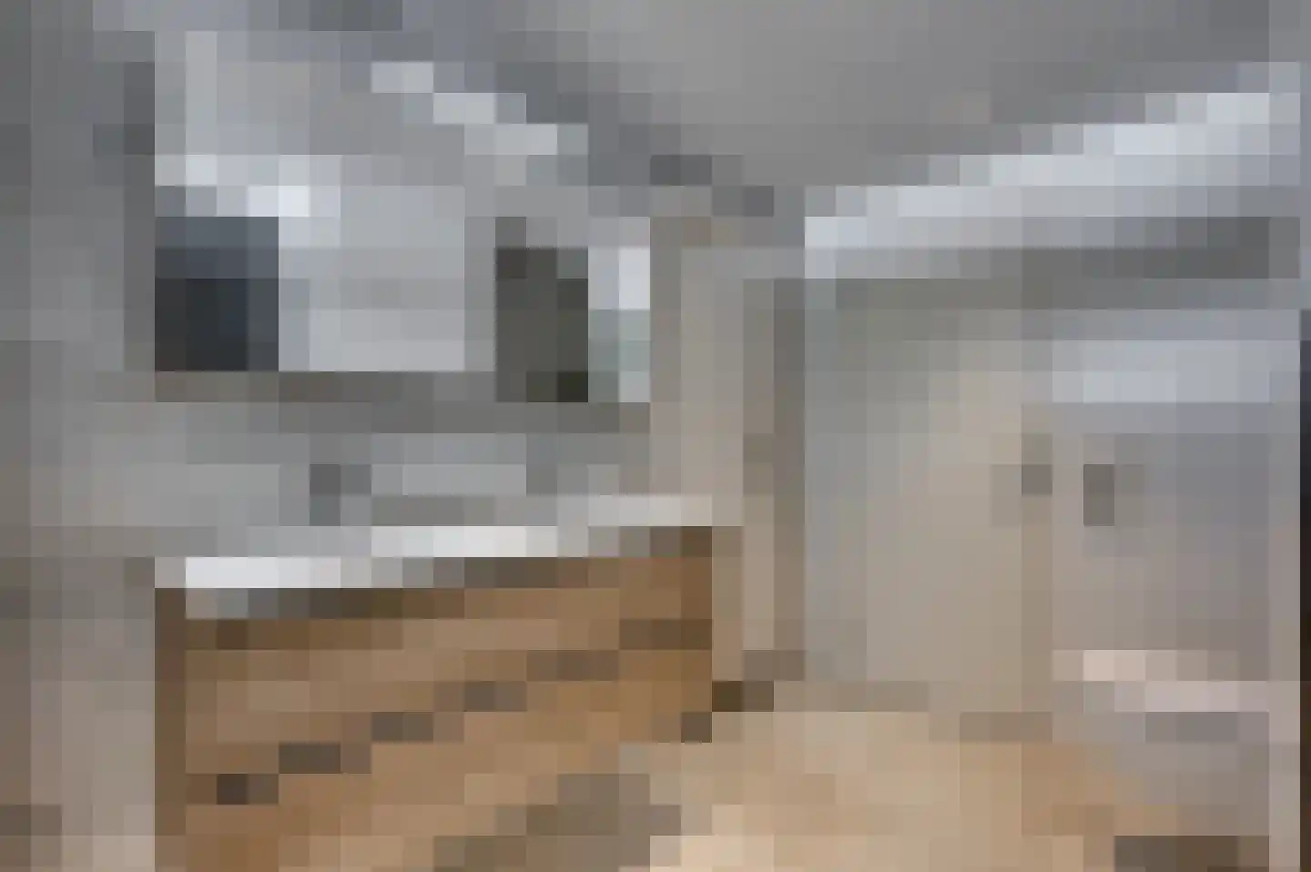 De Wiers 8 Sevenum thumbnail 43