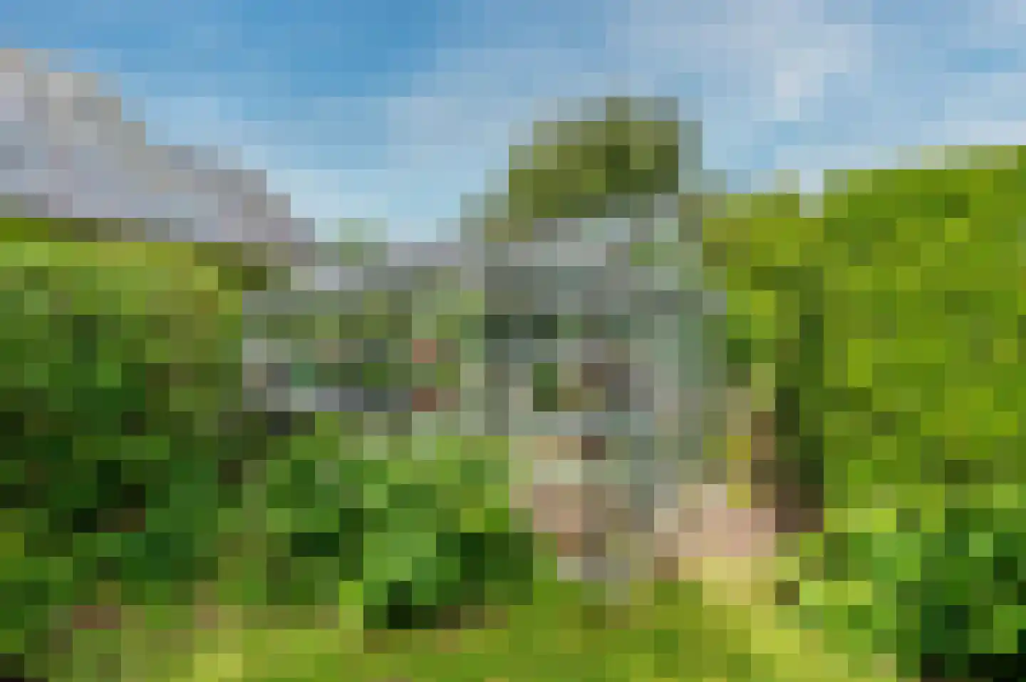 De Wiers 8 Sevenum thumbnail 52