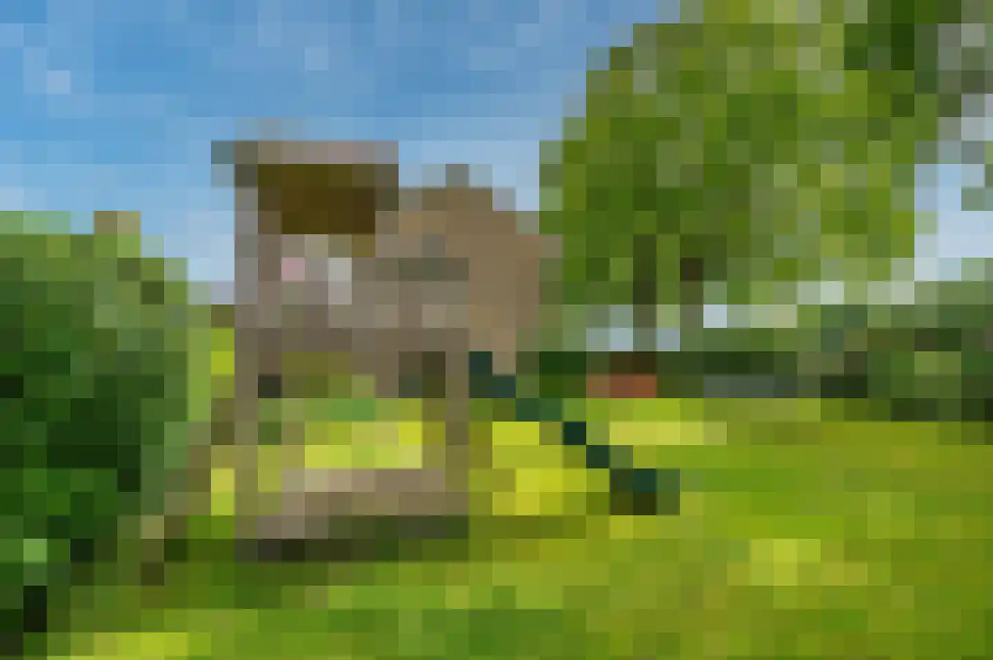 De Wiers 8 Sevenum thumbnail 54