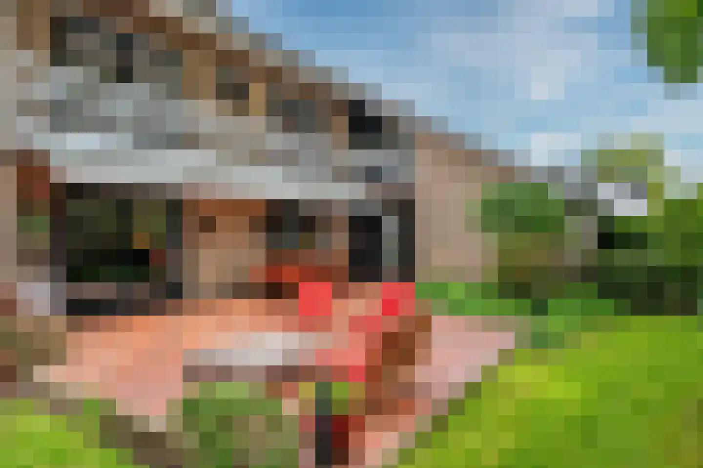 De Wiers 8 Sevenum thumbnail 58