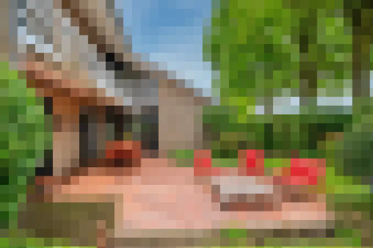 De Wiers 8 Sevenum thumbnail 59