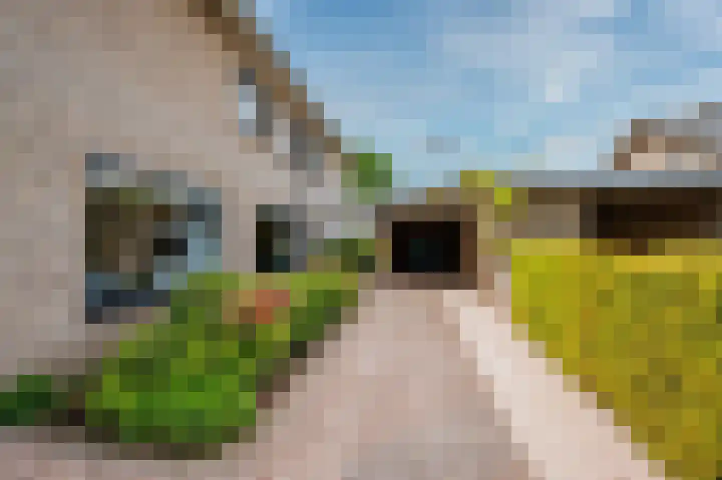 De Wiers 8 Sevenum thumbnail 61