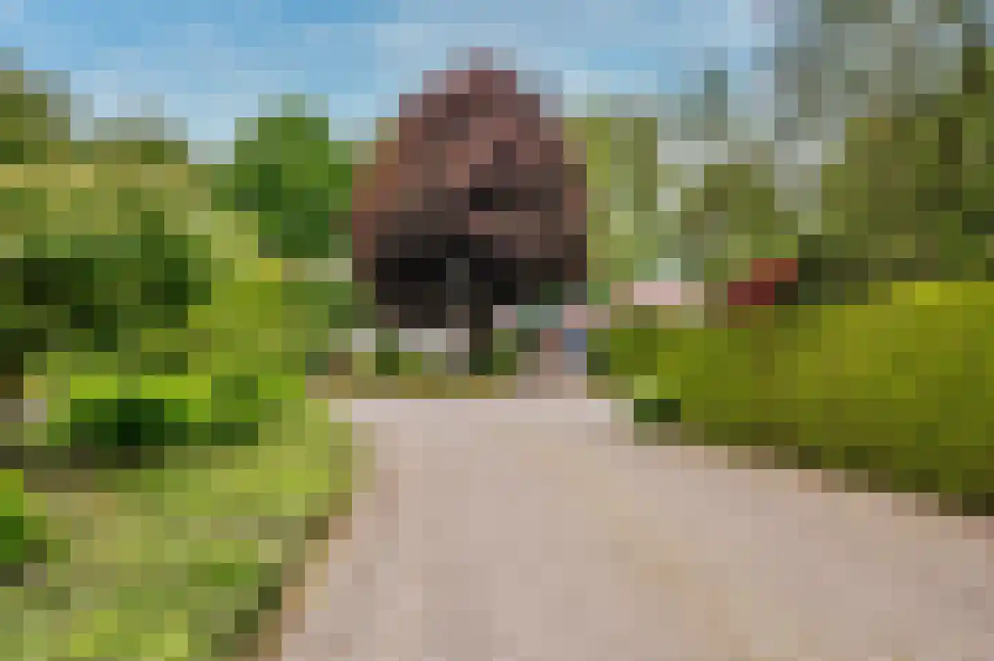 De Wiers 8 Sevenum thumbnail 65