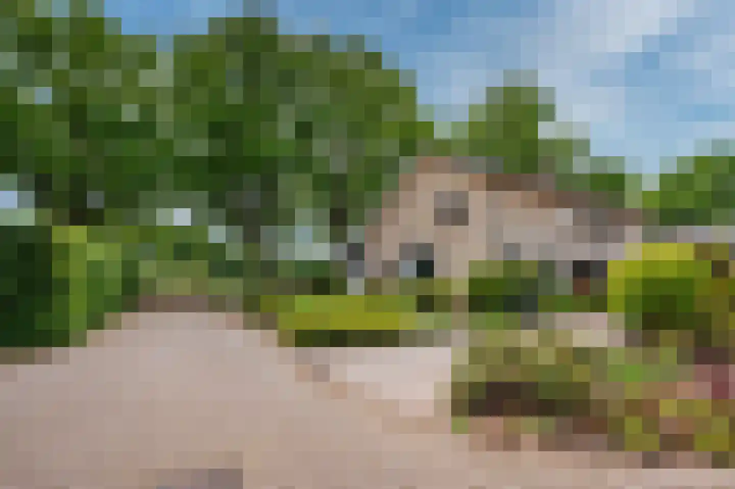 De Wiers 8 Sevenum thumbnail 66