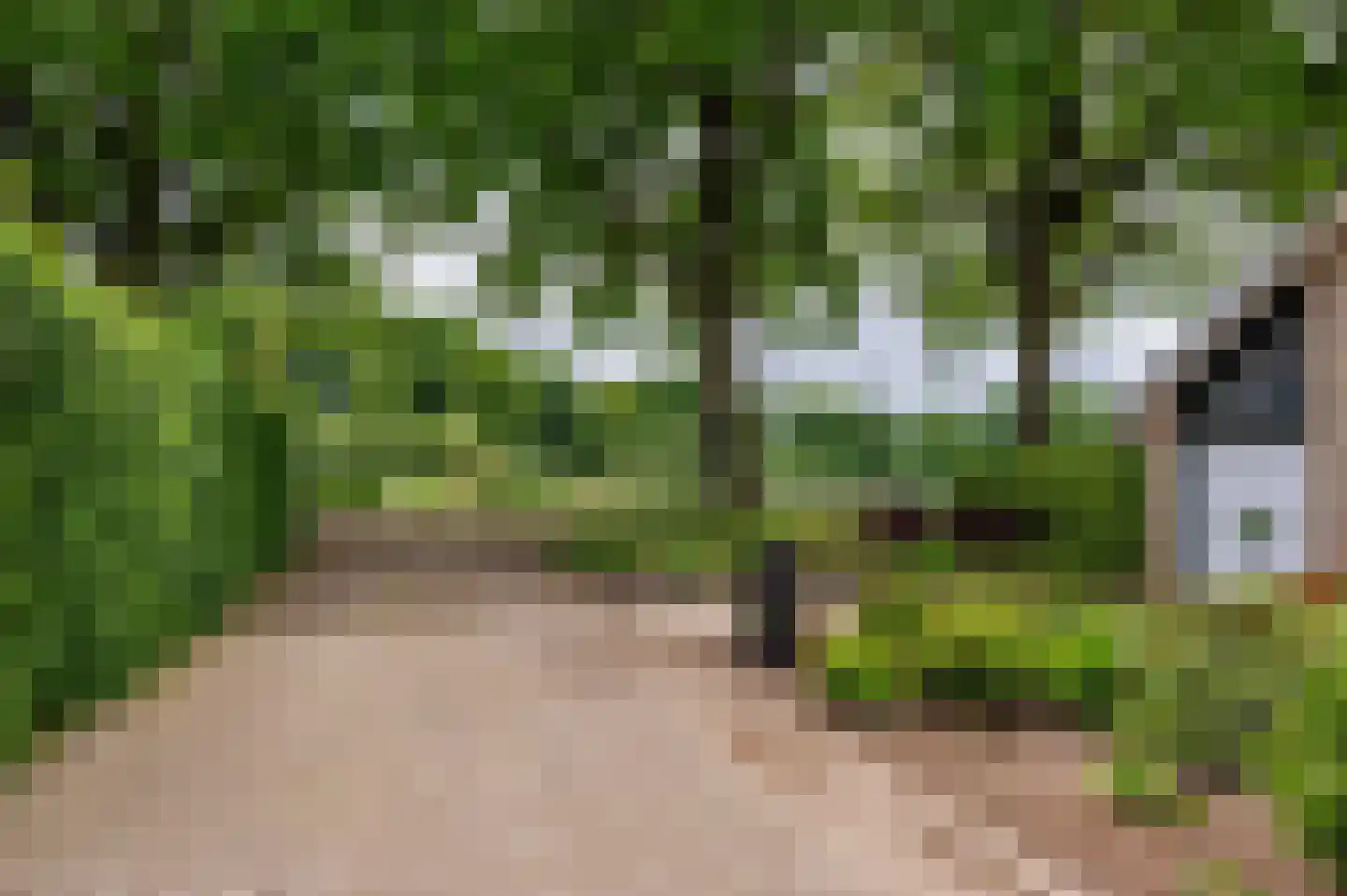 De Wiers 8 Sevenum thumbnail 68