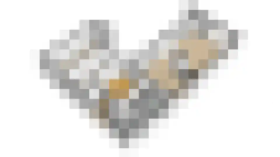 De Wiers 8 Sevenum thumbnail 76