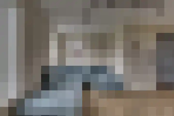 De Wierse 10 Biddinghuizen thumbnail 14