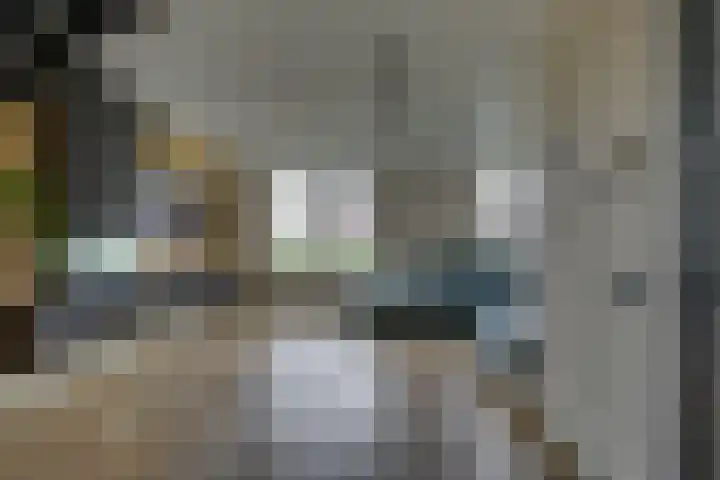 De Wierse 10 Biddinghuizen thumbnail 15