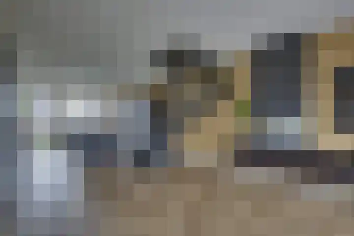 De Wierse 10 Biddinghuizen thumbnail 19