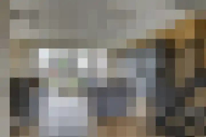 De Wierse 10 Biddinghuizen thumbnail 20