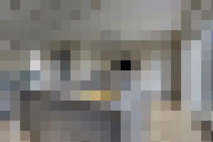 De Wierse 10 Biddinghuizen thumbnail 21