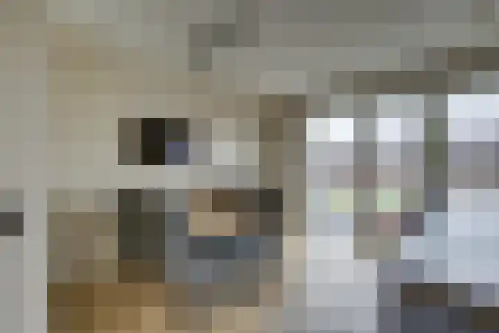 De Wierse 10 Biddinghuizen thumbnail 22