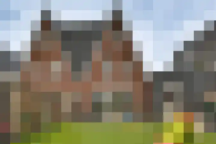 De Wierse 10 Biddinghuizen thumbnail 26