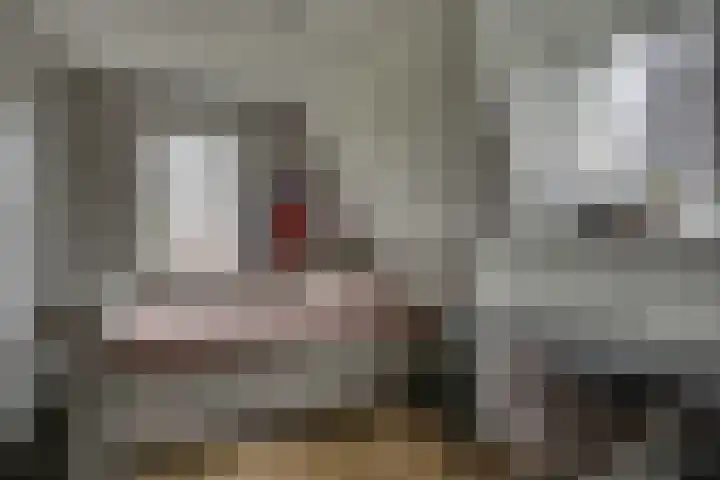De Wierse 10 Biddinghuizen thumbnail 31