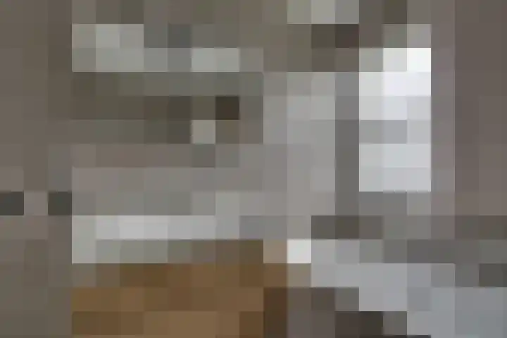 De Wierse 10 Biddinghuizen thumbnail 33