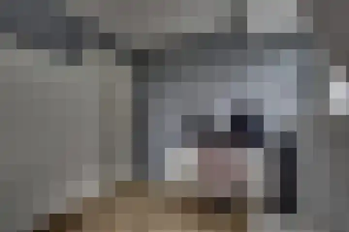De Wierse 10 Biddinghuizen thumbnail 37