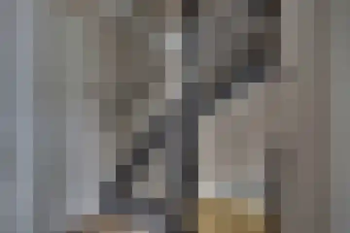 De Wierse 10 Biddinghuizen thumbnail 38
