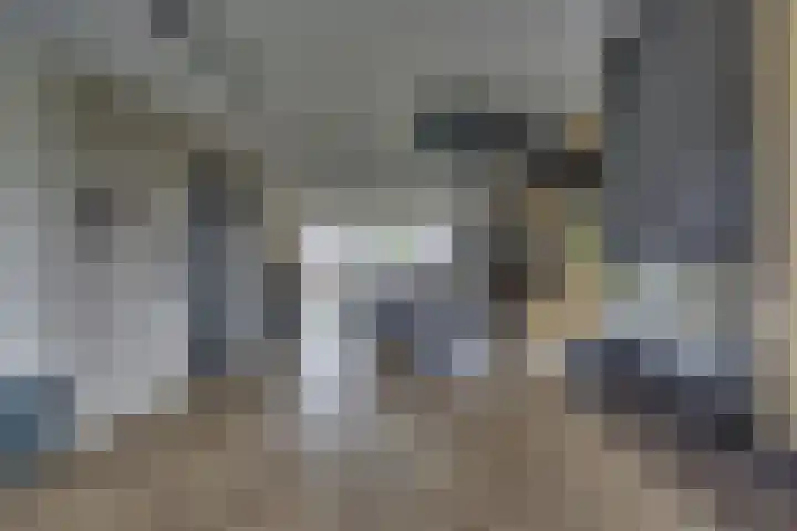 De Wierse 10 Biddinghuizen thumbnail 4