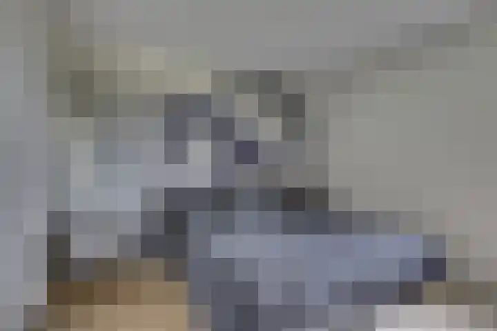 De Wierse 10 Biddinghuizen thumbnail 40
